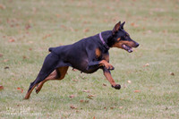 IMG_7920