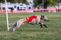 Prg 1, race 1, Arrow Blitz Rosie Floyd-0572