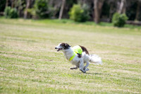 Finals Finnegan-0113