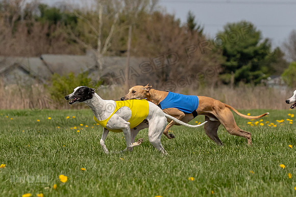 Finals Specials B2 PeteySue Frankie Rush-4608