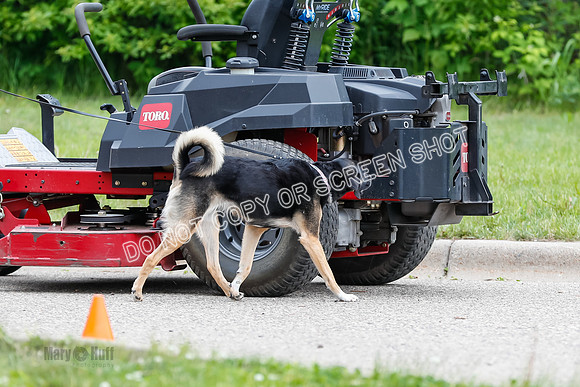 L3 Vehicle-7289