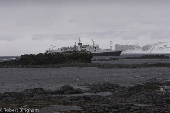 © Robert Bingham_063