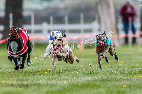 WRA, Prg 1, Race 5, Henry Eddie Deal Moki Feather Hit-8317