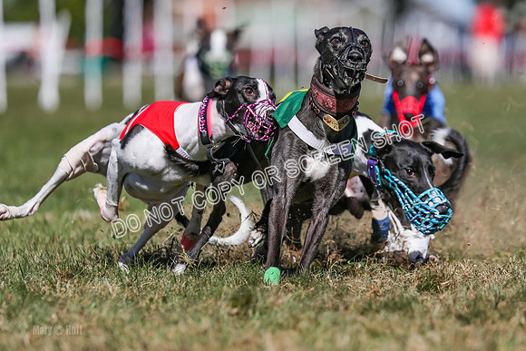Prg 4, Race 3, Dazzle Margot Cherry Pie Clyps Tahoe-0143