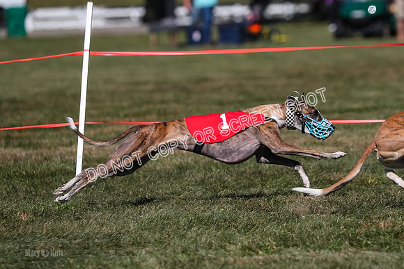 Prg 4, Race 4, Watson Sansa Elia Dusty-2571
