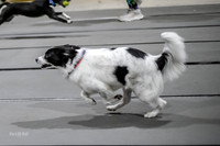 AE4I2945