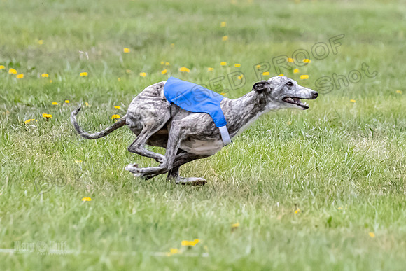 1 Prelim Open D2 Wager Drift Juni-6492