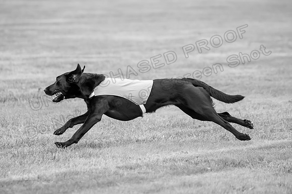 Prelims Rowan-0859-2