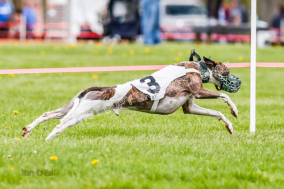 NOTRA Program 2, Race 4, Rum Moki Clyps-2-8