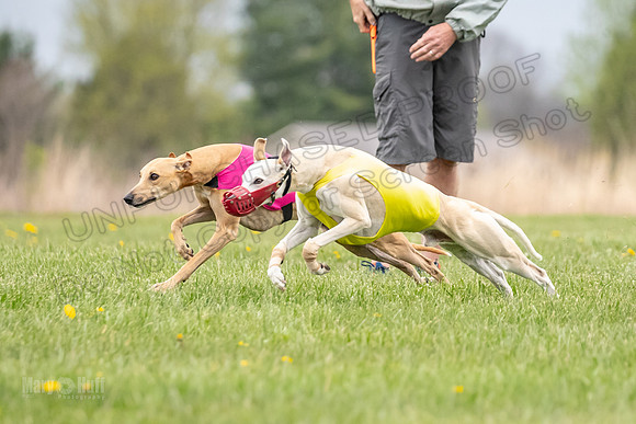 Finals Fch A2 Zinger Rush-9131