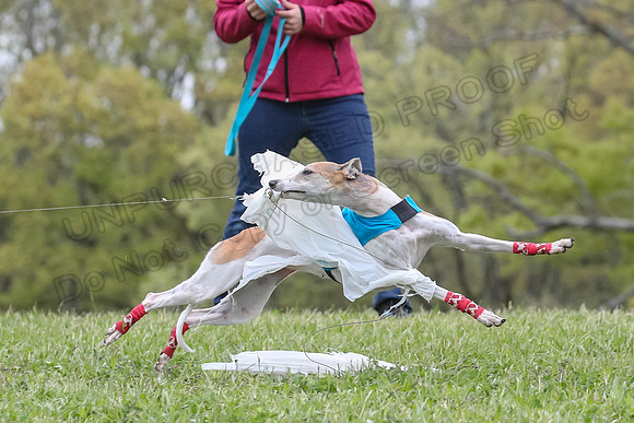 Finals Vets 4, Parker Marley Brag-2414