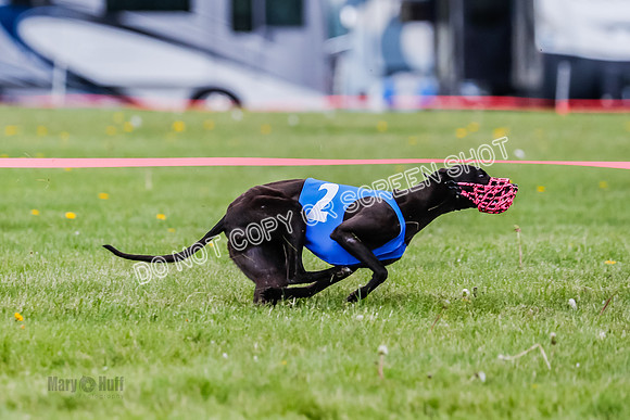 NOTRA Program 2, Race 7, Ragnar Power Sandy Elvis-2-11