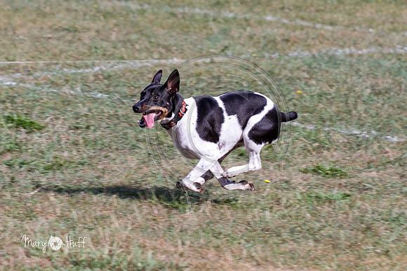IMG_8127