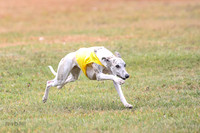 1 Prelims Open 1 AnnieOakley Fennec Zero-1221