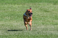 Prelim, Enzo-Vera-3938