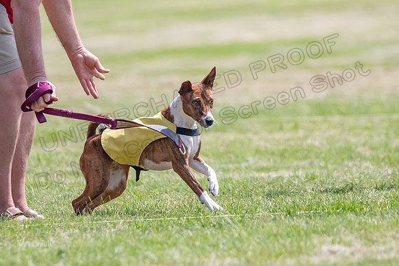 Finals-0166