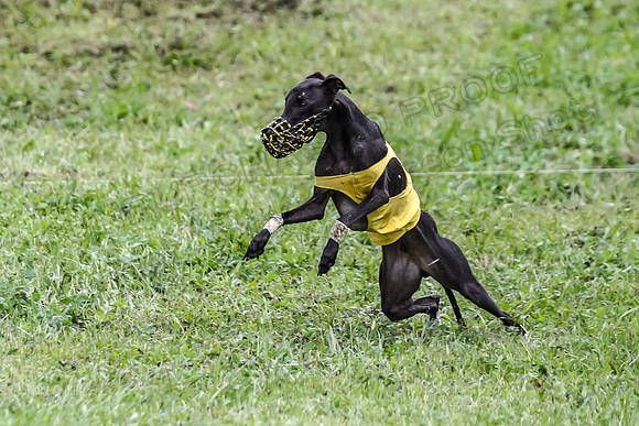 Prelim Open E1, Sid Emoji Bumble-4761