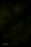 MCH51248