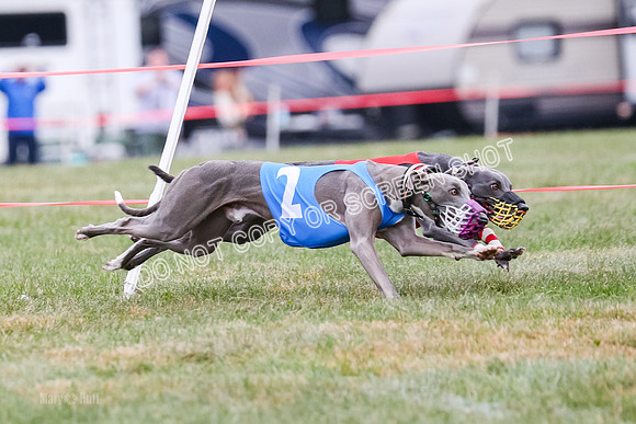 Prg 1, race 12, Gibbs Java Watson Tsunami-0857