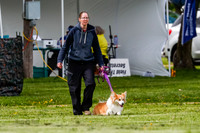 Cat Test 1-0013