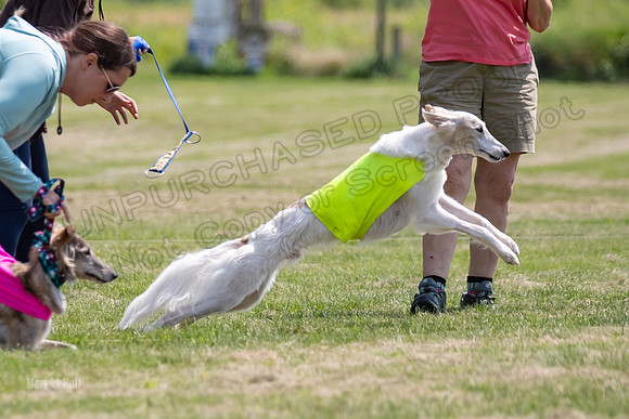 Finals Ripley Lily-0055