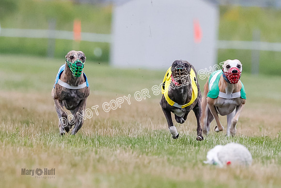 Prg 3, Race 5, Sid-Alex-Zed-Fama-Talim-1170
