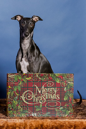 xmas Kristy-430-Edit