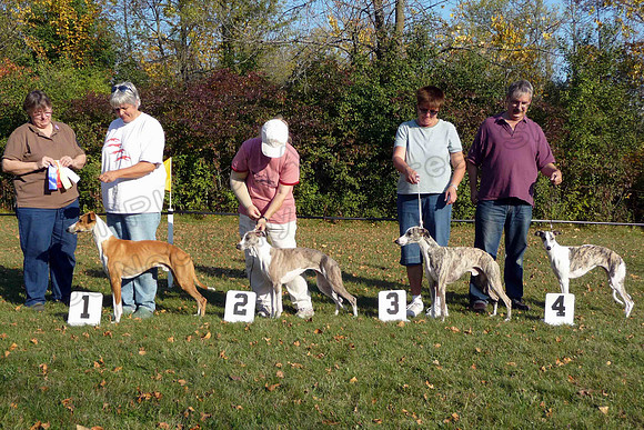 CWA Oct 11 08 097-M