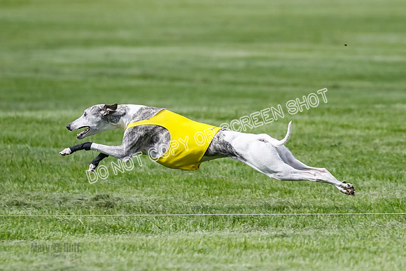 Open, Prelim, Stilla Lola Riley-8286