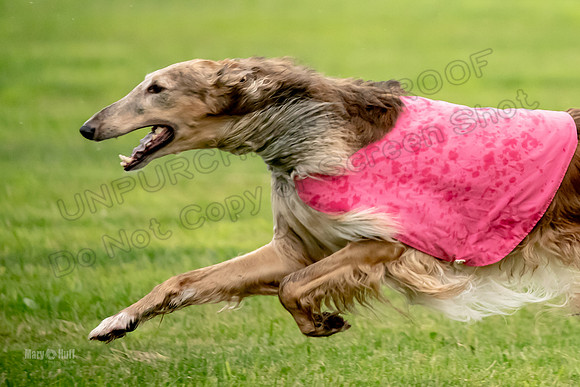 Open Prelim Bluegene Rhett Zen-0499