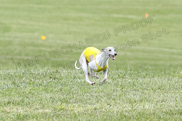 Finals Open C5, Mizuno Charlie Arlo-0796