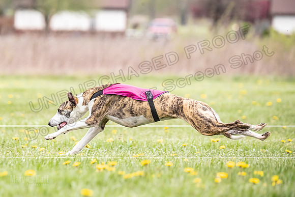 Finals Fch A4 Finely Carrie-9313