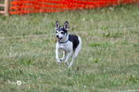 IMG_8195