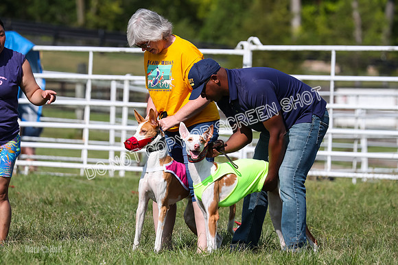 Open Prelim B2, Latte, Wizard-7842