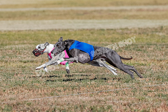 Open 1, Final, Zuma-Quinn-Flint-4937