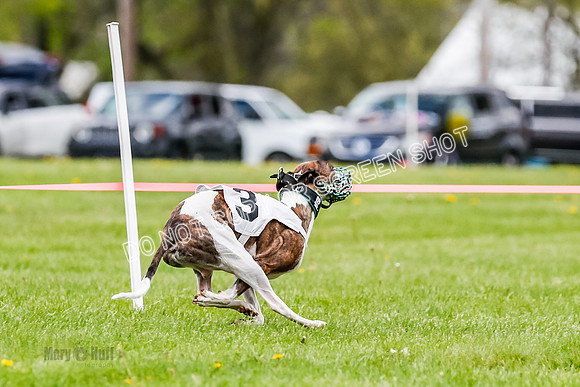 NOTRA Program 2, Race 4, Rum Moki Clyps-2-11