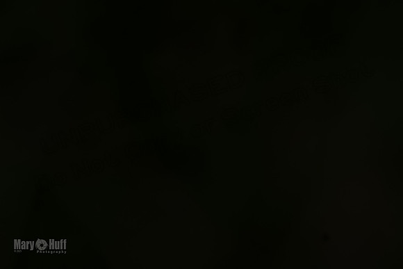 AE4I7361