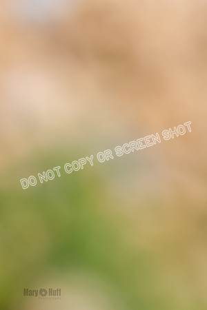_E4I5108