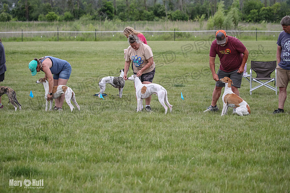 AE4I1564