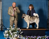 Elkhound 2020-1075