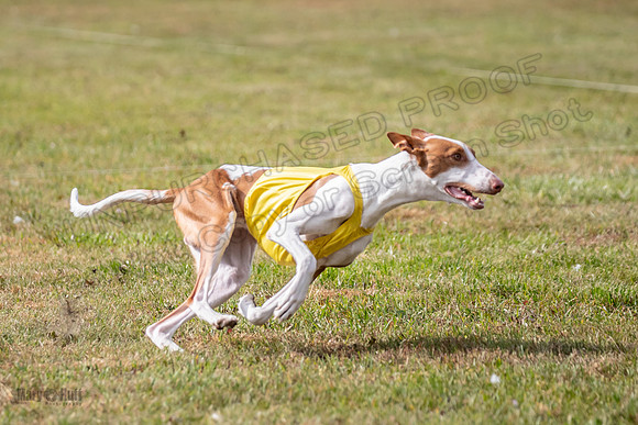 Finals Open 1 Jagger Maverick-3013