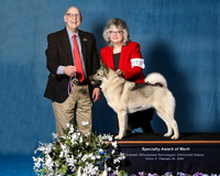 Elkhound 2020-1129-Edit