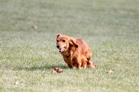 IMG_0382