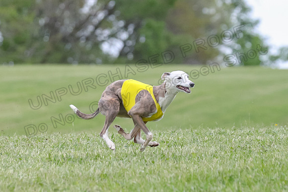 Finals Open G3, Digit Riddle Cuvee-1609
