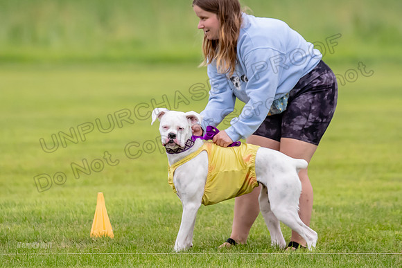 Prelims Nilla-0883