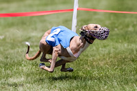 Prg 4, Race 4, Piper, Rasta, Ruffian