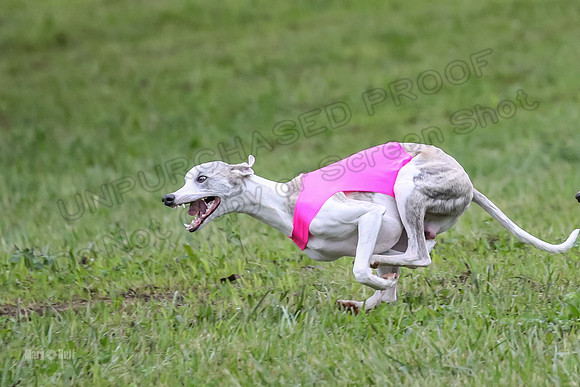 Prelim Open E1, Rip Mateo Maverick-9018