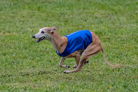 Prelim Open C1, Wrath Ozzy Fia-3924