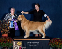 Winners Dog -Show 1, Saturday