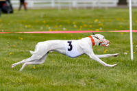 NOTRA Program 3, Race 1, Watson Scooter Barley Warrior-2-12
